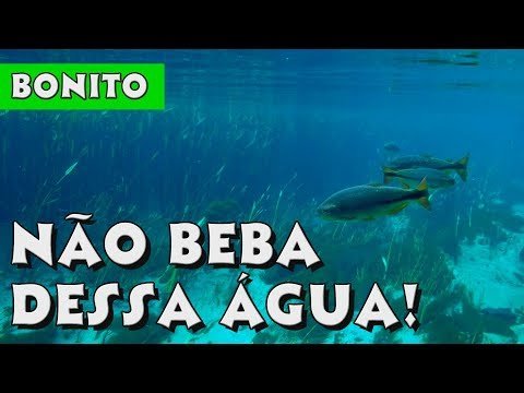 Capa da viagem