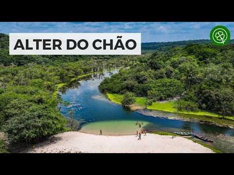Capa da viagem