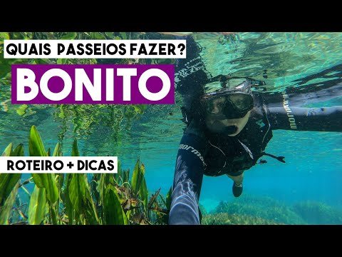 Capa da viagem