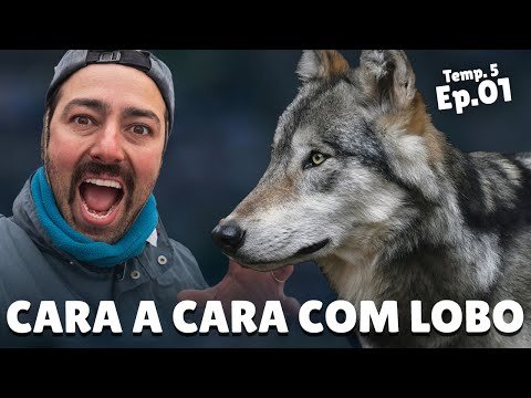 Capa da viagem